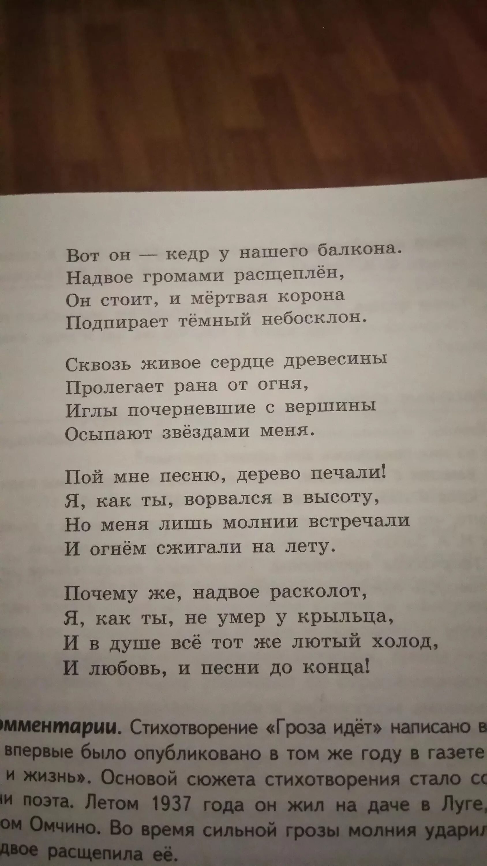 Стихотворение гроза идет заболоцкий. Стихотворение гроза идет. Стихотворениеидёт гроза. Гроза идет Заболоцкий. Заболотский гроза идет.