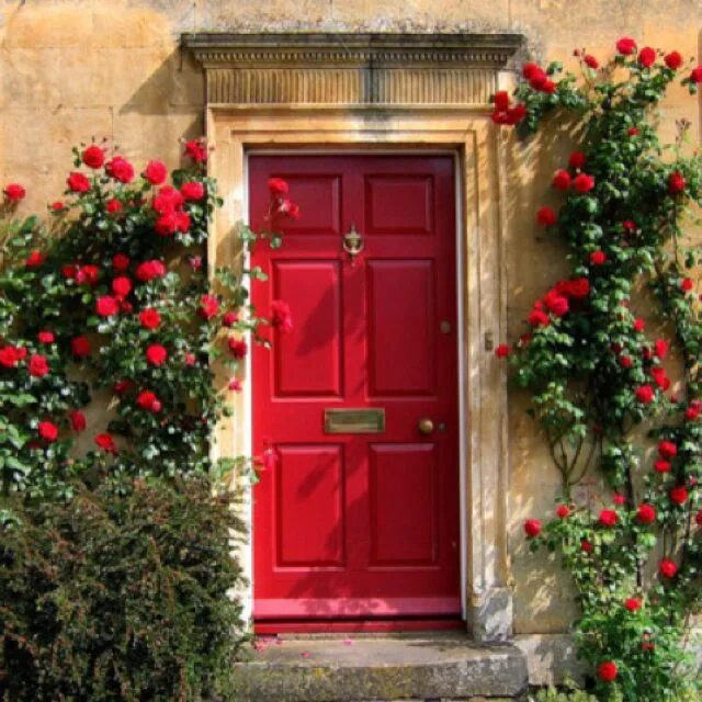 Красивые двери. Дверь в цветах. Красная входная дверь в дом. Входная дверь в цветах.