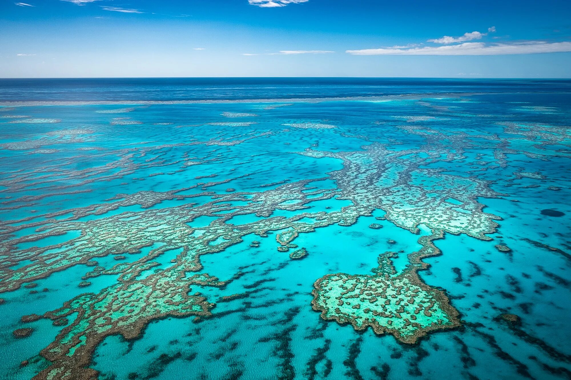 Поверхность океана составляет. Большой Барьерный риф. Великий Барьерный риф Австралия. Большой коралловый риф в Австралии. Коралловый Барьерный риф в Австралии.