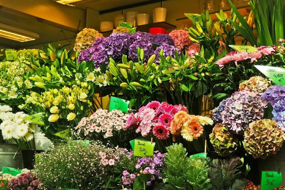 Отзыв о цветочном магазине. Цветочный ассортимент. Ассортимент цветочного магазина. Цветы магазинные. Ассортимент цветов в цветочном магазине.