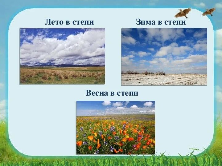 Степь тетрадь. Климат степной зоны россии. степь. степь для детей. зона степей.