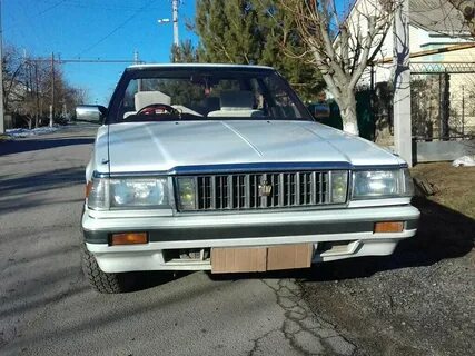 7 crown