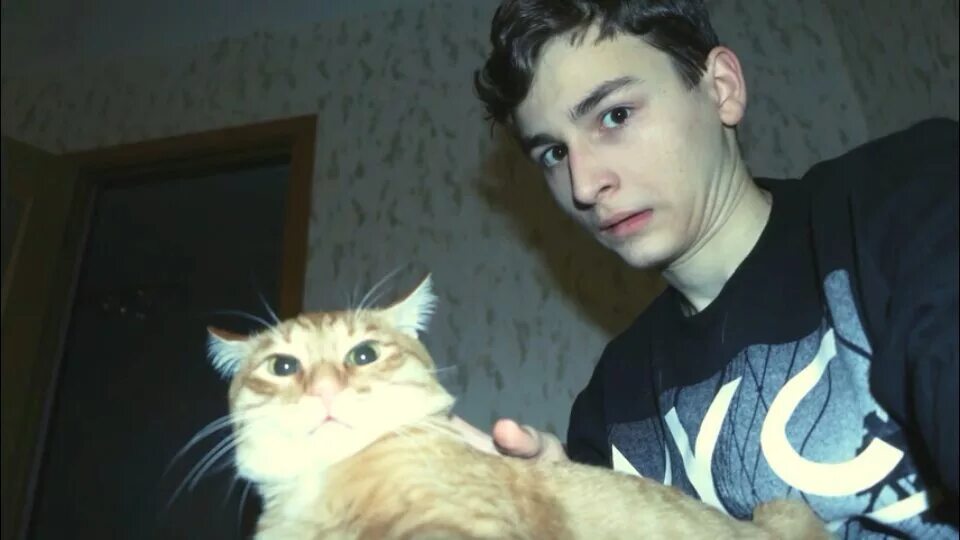 тигра кот брайна мапса. брайан мапс с котом. тигра брайан 2021. брайан мапс с котом. тигра брайан мапс.