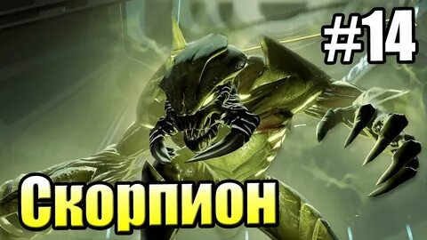 Скорпион 14