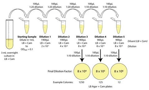Determine 10