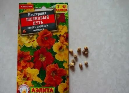 Настурция махровая смесь окрасок выращивание из семян