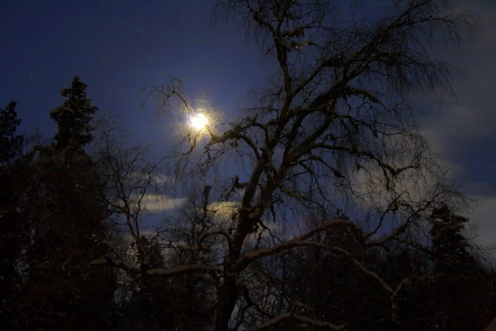 День независимости женщин. Первая волна феминизма картинки. Ночь март. Night march. Night march.