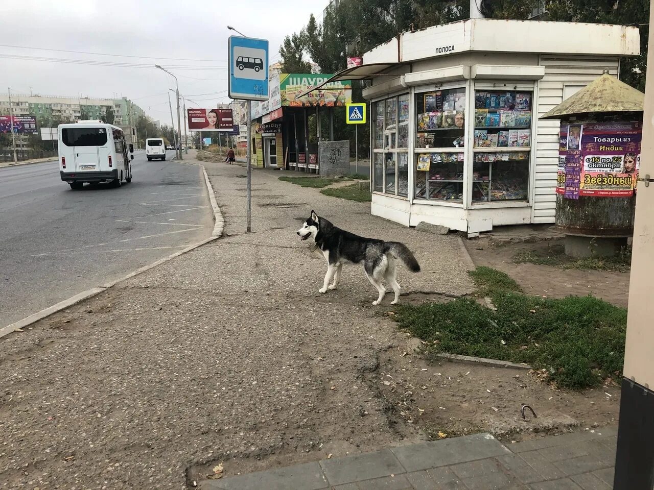 3 Юго Восток Астрахань. Юго-Восток 3. 3 Юго Восток Астрахань площадка. Астрахань третий Юго Восток магазин Шанхай.