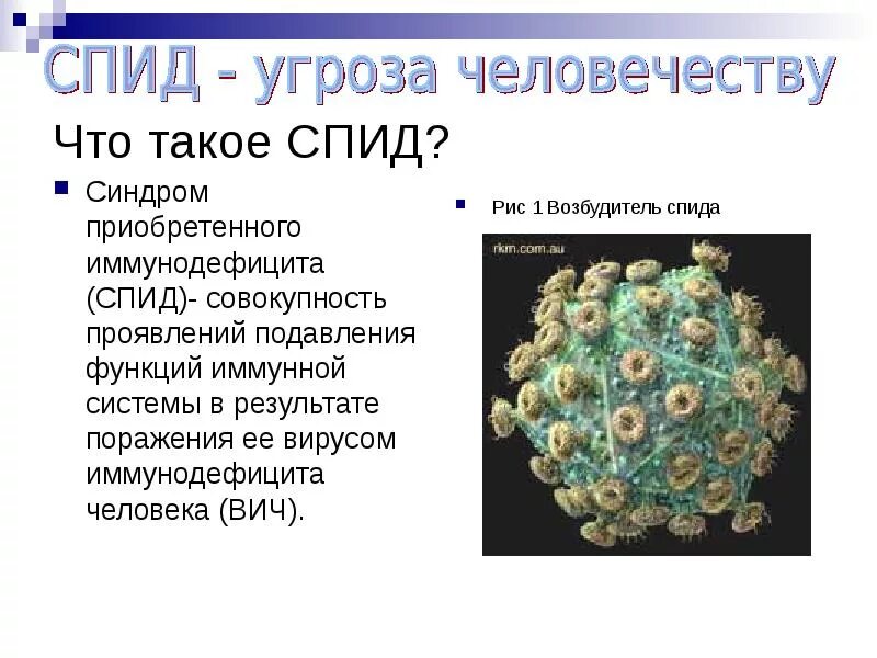 СПИД. ВИЧ СПИД. Вирус иммунодефицита человека. Спид биология 8 класс