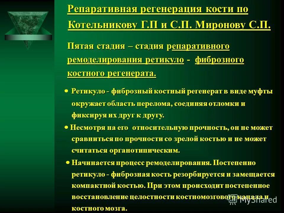 группа регенерация