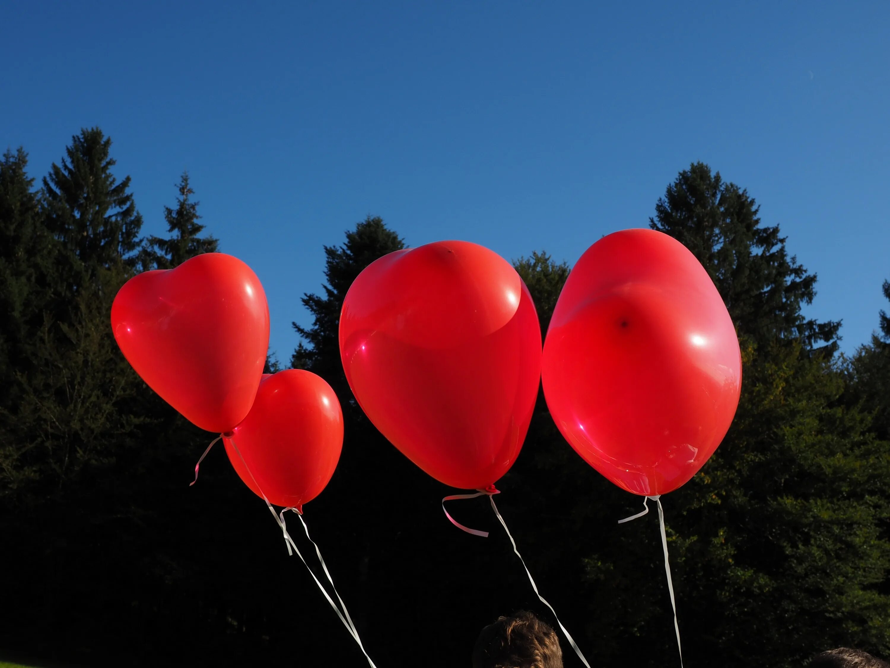 Видео красных шаров. Шары надувные. Красный воздушный шарик. Шары красные сердца. Шарики сердечки.