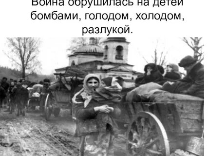 Голод и холод автор