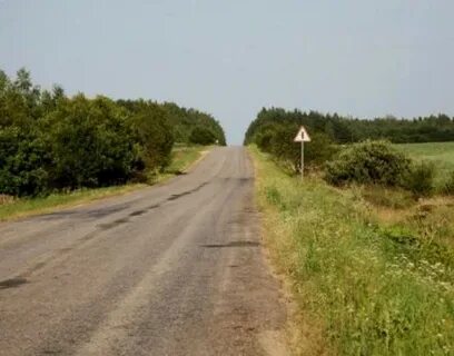 Погода в лесном московской