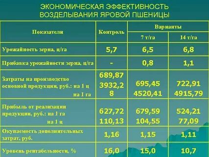Эффективность хранения