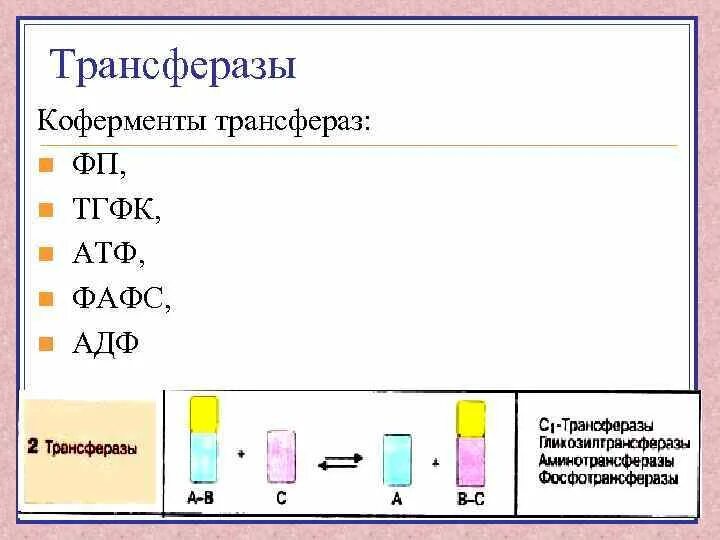 Трансферазы это. Трансферазы это
