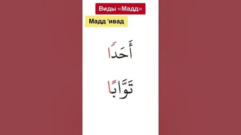 Все мадды в таджвиде