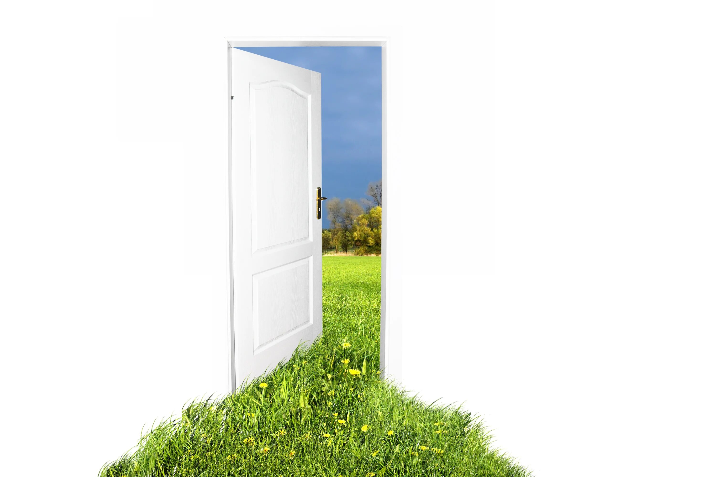 Опен дверь. Открытая дверь. Приоткрытая дверь. Дверь на белом фоне. Дверь открывается.
