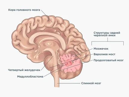 Давления черепного мозга