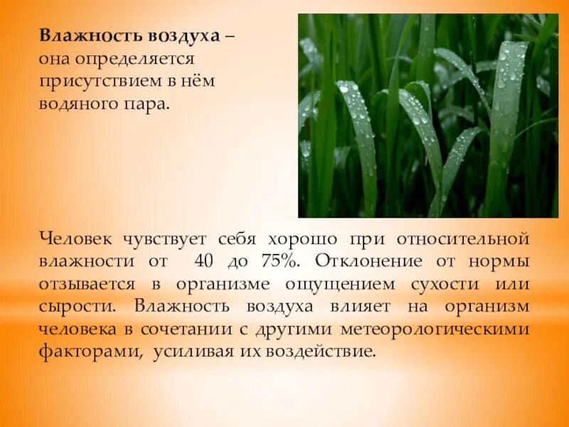 Влияние влажности воздуха. Влияние влажности воздуха на здоровье человека. Влажность воздуха влияние на здоровье. Влияние влажности воздуха на самочувствие человека. Какая влажность в лесу