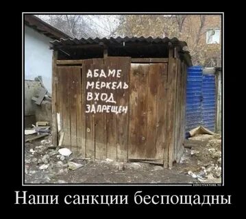 Не смотря на санкции