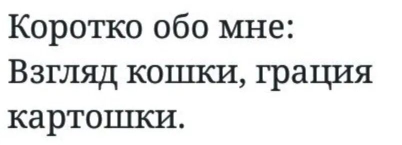 Взгляд кошки Грация картошки. Коротко обо мне. Взгляд кошки Грация картошки Мем. Грация картошки фраза.