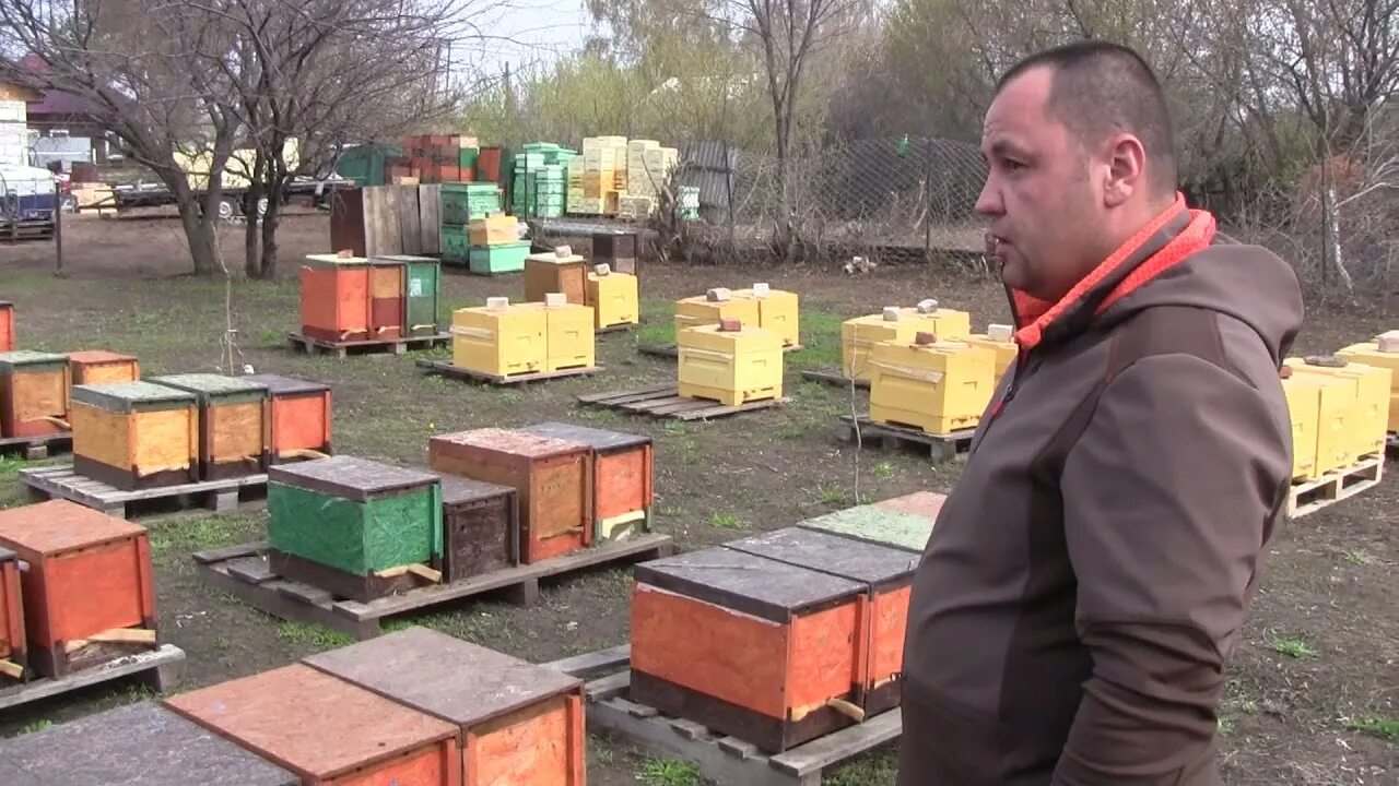 Союз пчеловодов дагестана. Кокафеникс саратовский пчеловод. Пчеловодный магазин. Саратовский пчеловод. Ярмарка меда.