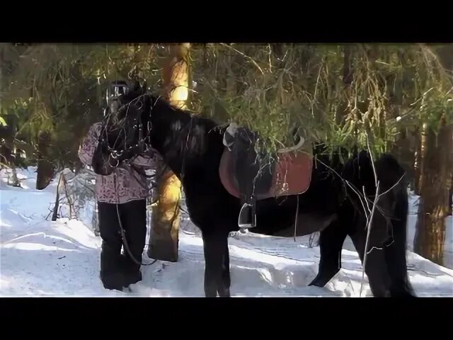 Песня дайте коня мне да добрый меч