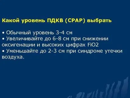 Пдкв