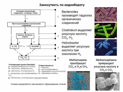 Растворимое органическое вещество