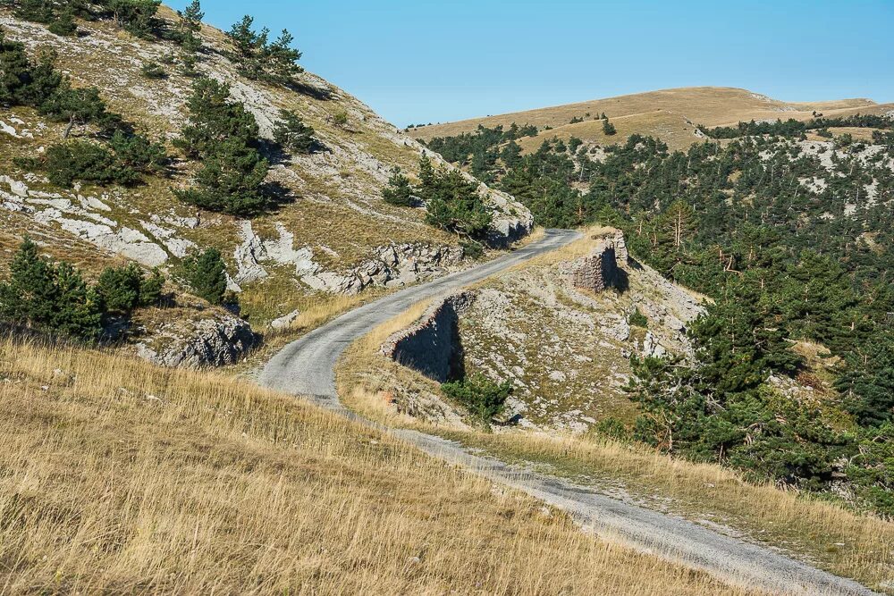 Крымский заповедник романовское шоссе. Романовская дорога ялта. Романовская дорога. Романовская дорога в крыму. Романовское шоссе в крыму.