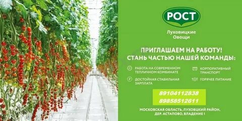Луховицкие овощи сайт