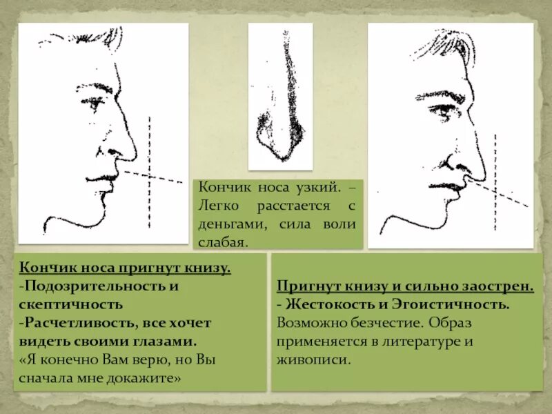 Почему заостряется нос. Физиогномика нос. Кончик носа физиогномика. Форма носа физиогномика. Форма ноздрей физиогномика.