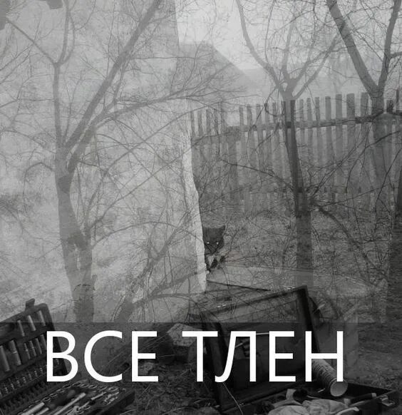 Слово тленье. Тлен. Все тлен. Жизнь тлен. Тлен и безысходность.