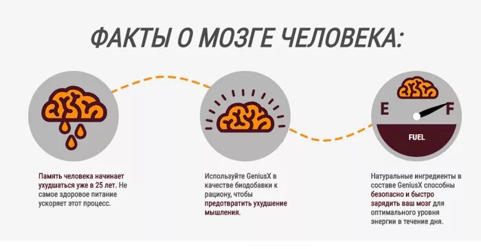 Интересное о памяти человека. Удивительные факты о памяти. Интересные факты о человеческой памяти. Интересное о памяти человека. Интересные факты о мозге.