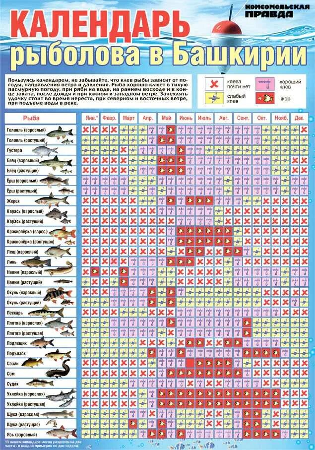 Лунный календарь рыболова на 2022. Календарь хорошего клева рыбы на 2022г. Календарь клёва рыбы на 2022 год. Лунный календарь рыбака 2022 года по месяцам. Клев рыбы карась