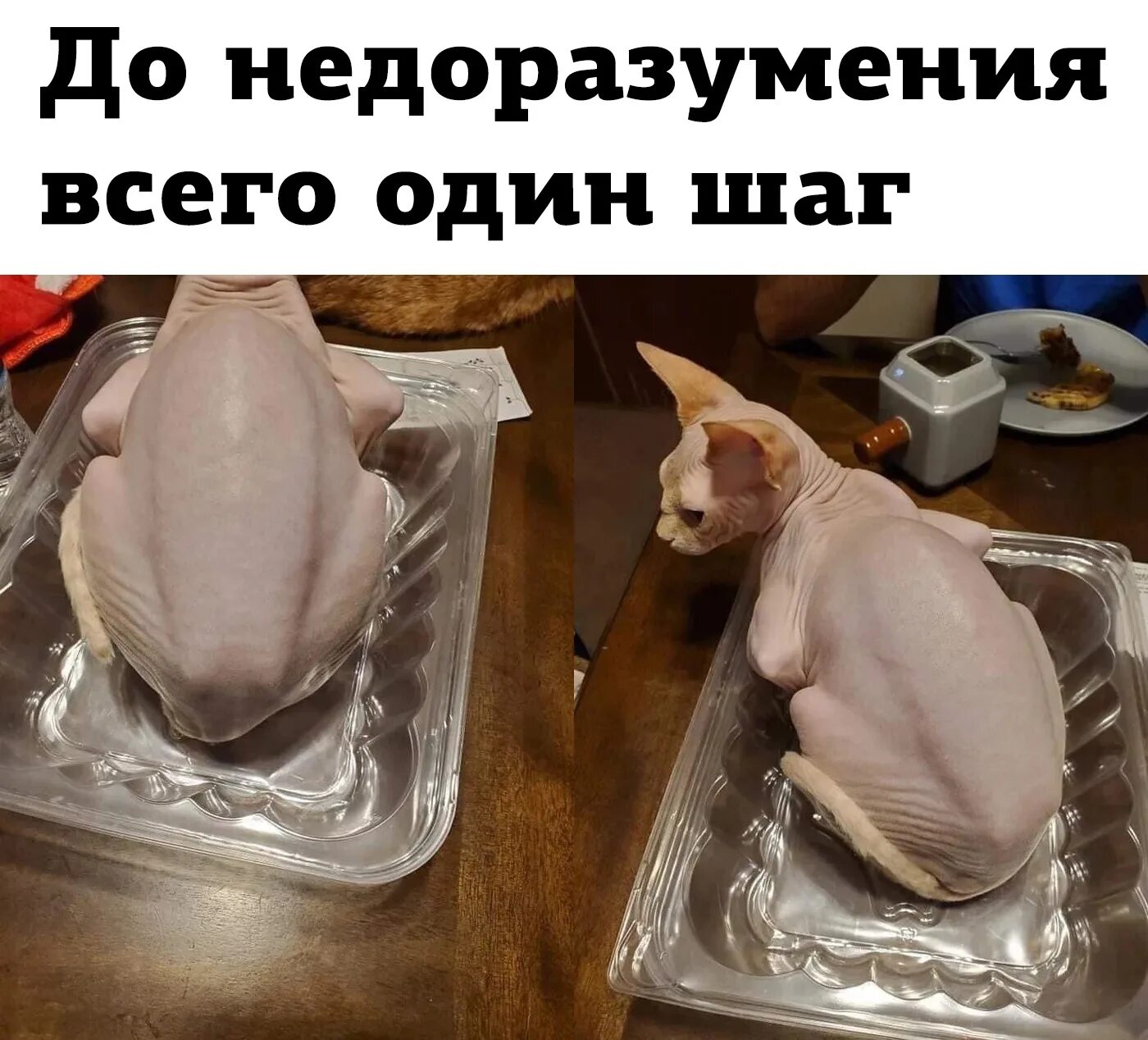 добрый монстр. сказочные чудовища. белоомутская чупакабра. фантастические существа с других планет. краулер монстр чудовище.