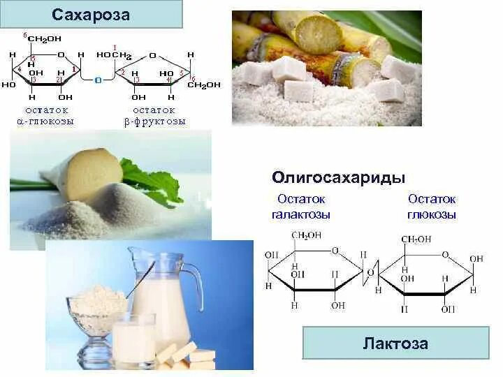 Лактоза в глюкозу и галактозу. Глюкоза лактоза сахароза. Фруктоза лактоза сахароза. Галактоза используется для.