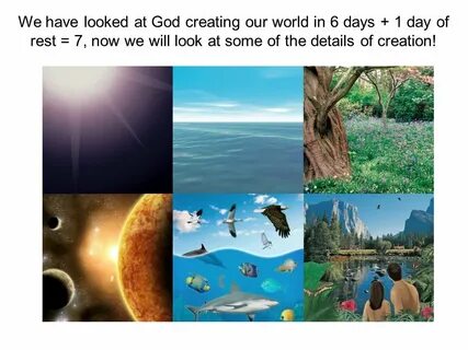 Is this the world are created