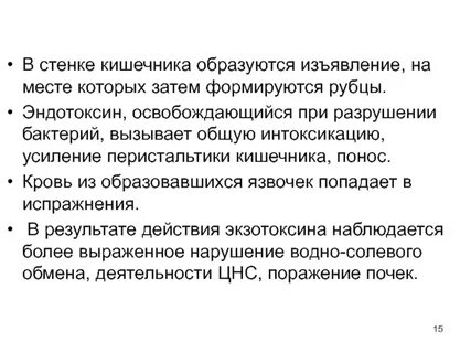 В кишечнике образуются
