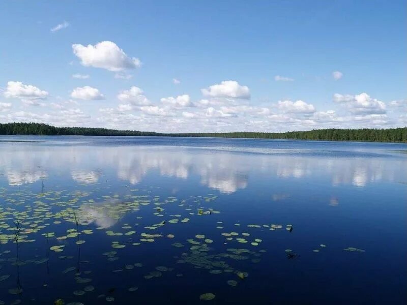 Озеро бол. Озеро Студеное Марий Эл.