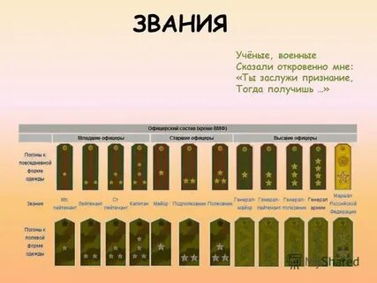 Через сколько можно получить звание