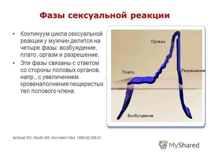 Боли после возбуждения у мужчин. Фазы возбуждения у мужчин и женщин. Цикл полового ответа. График возбуждения мужчин и женщин. График возбуждения женщины.