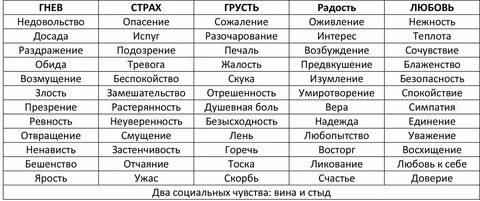 12 чувств