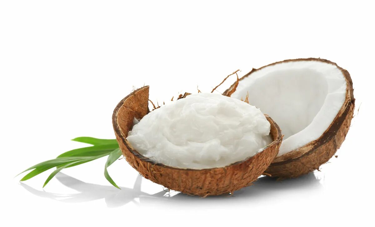 Масло кокоса с пальмой. Кокосовое масло palm. Пальмовое и кокосовое одно и тоже. Как отделить кокос от скорлупы. Масло кокоса в бутылке.