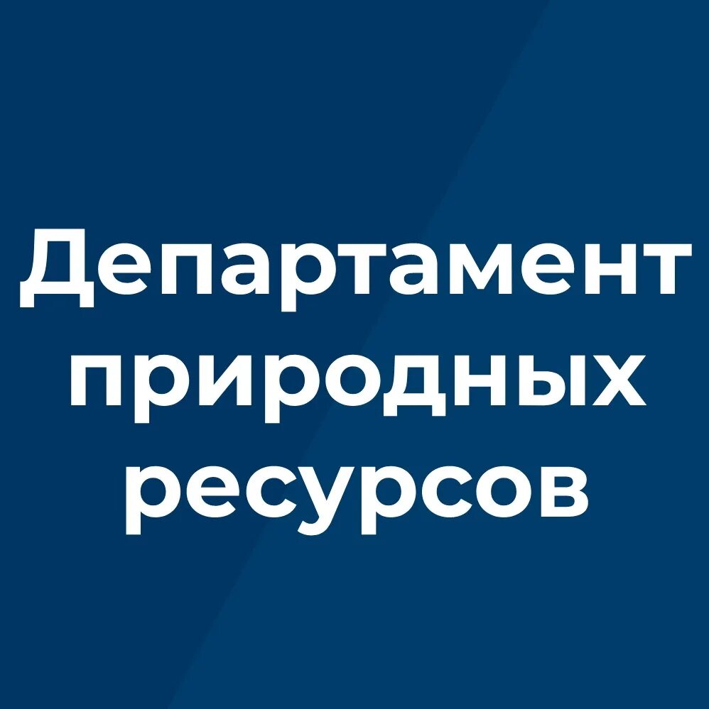 Департамент природных ресурсов Брянской обл. Департамент экологии и природопользования Брянской области. Природные богатства Брянской области. Природный багодства Брянской области. Сайт департамента природных ресурсов брянской области