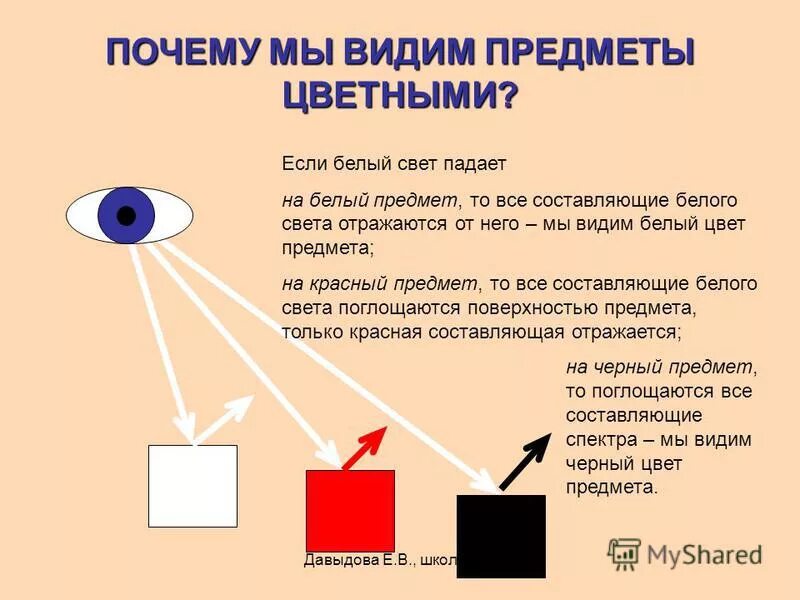 Цвета предметов воспринимают. Цвета предметов воспринимают
