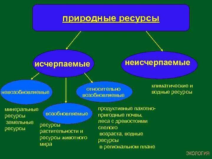 Пример исчерпаемых возобновимых природных ресурсов