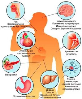 В организме связанный с