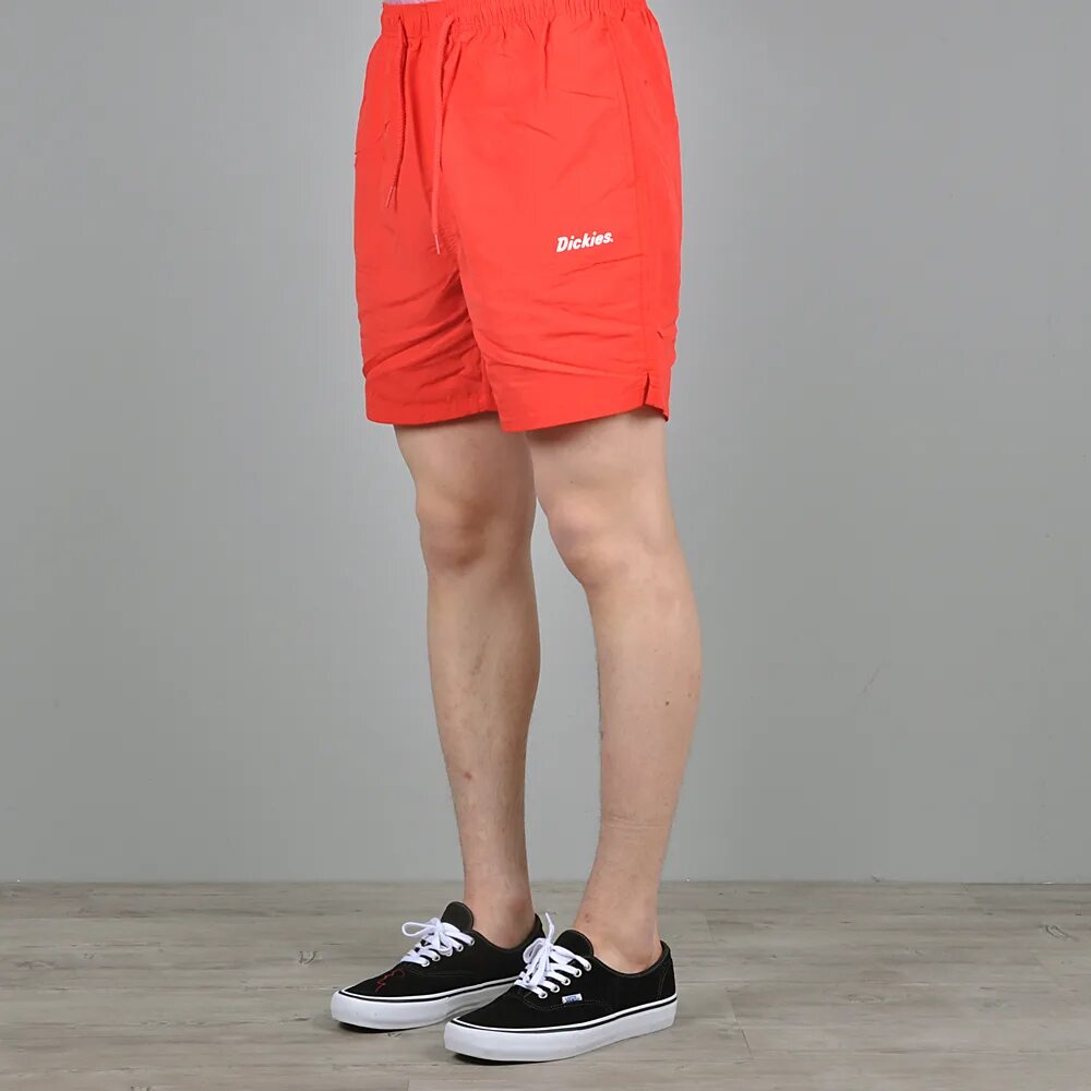 Short dick man mix. Шорты Cropp. Шорты Dickies.