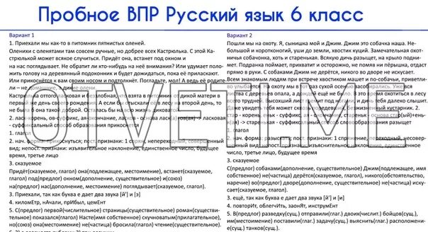 Vpr po russkomu yazyku za 7 klass. ВПР русский язык 6 класс вариант 2 ответы. Пробный ВПР. ВПР по русскому языку 6 класс с ответами. ВПР по русскому языку за 6 класс.